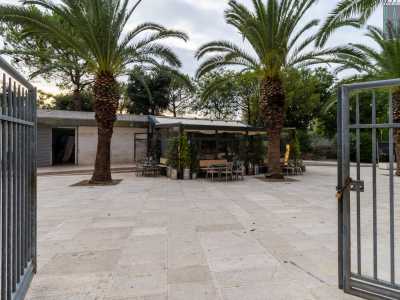 ...e il bar Giardini di Frida, aperto nel 2018 con suoi tavoli disposti all�ombra degli alberi